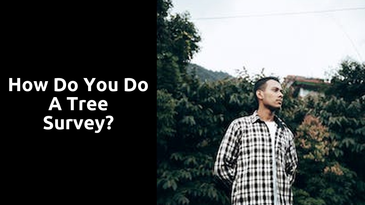 How do you do a tree survey?