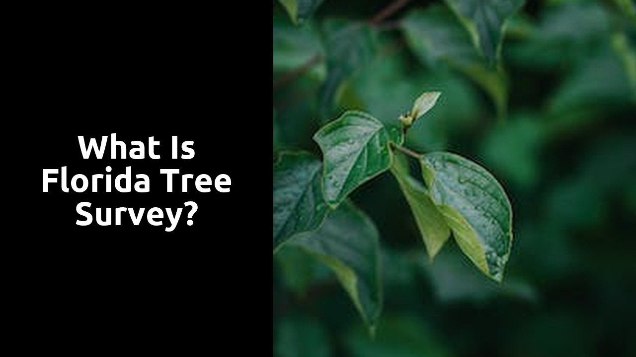 What is Florida tree Survey?