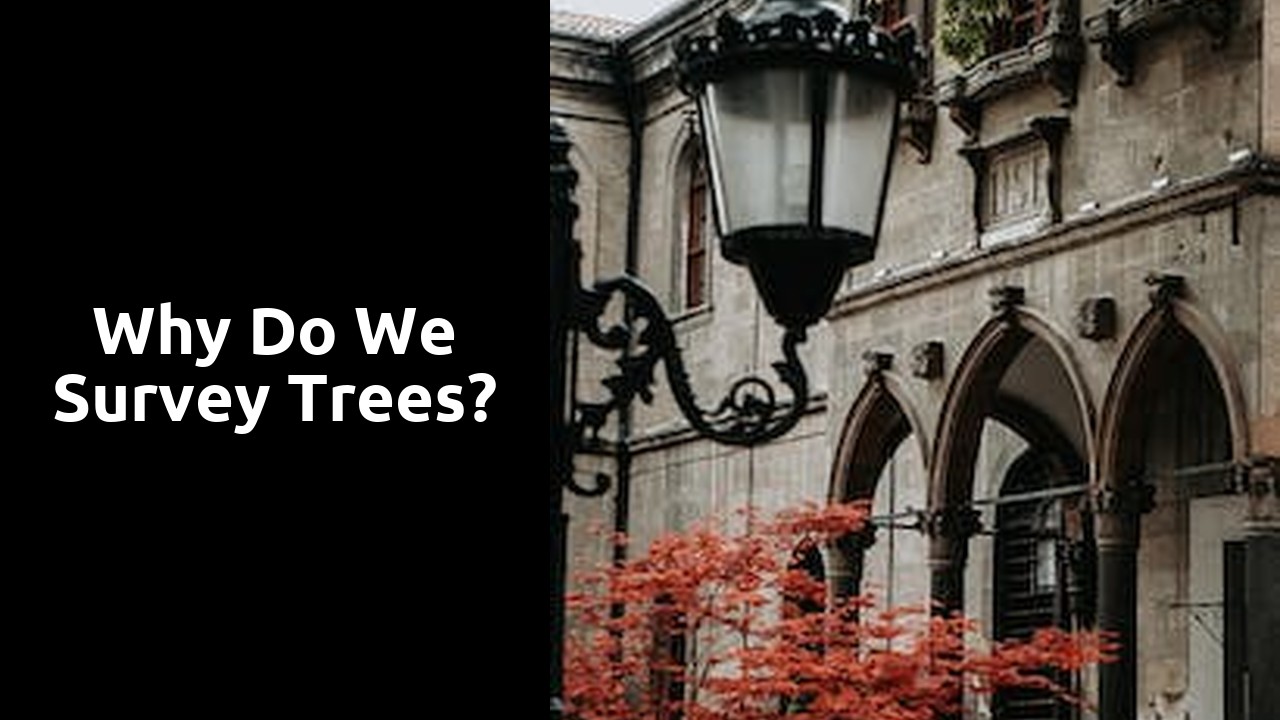 Why do we survey trees?