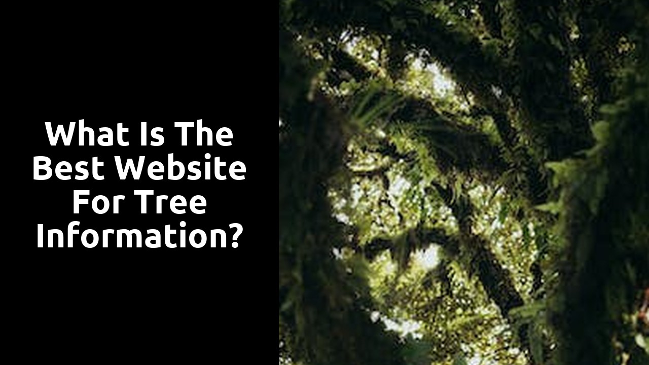 What is the best website for tree information?