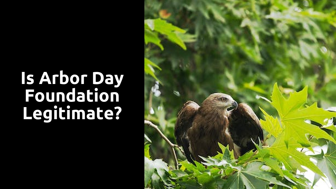 Is Arbor Day Foundation legitimate?