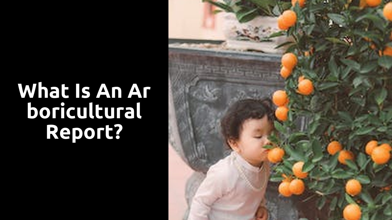 What is an arboricultural report?