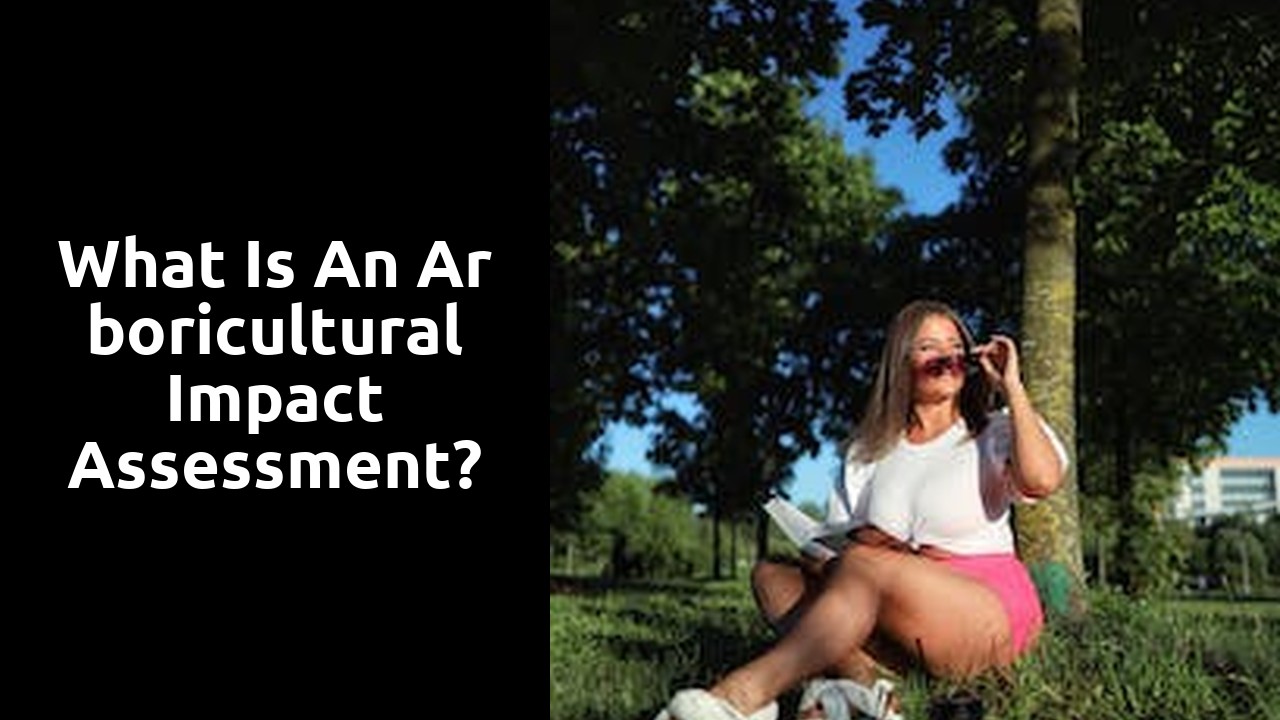 What is an arboricultural impact assessment?