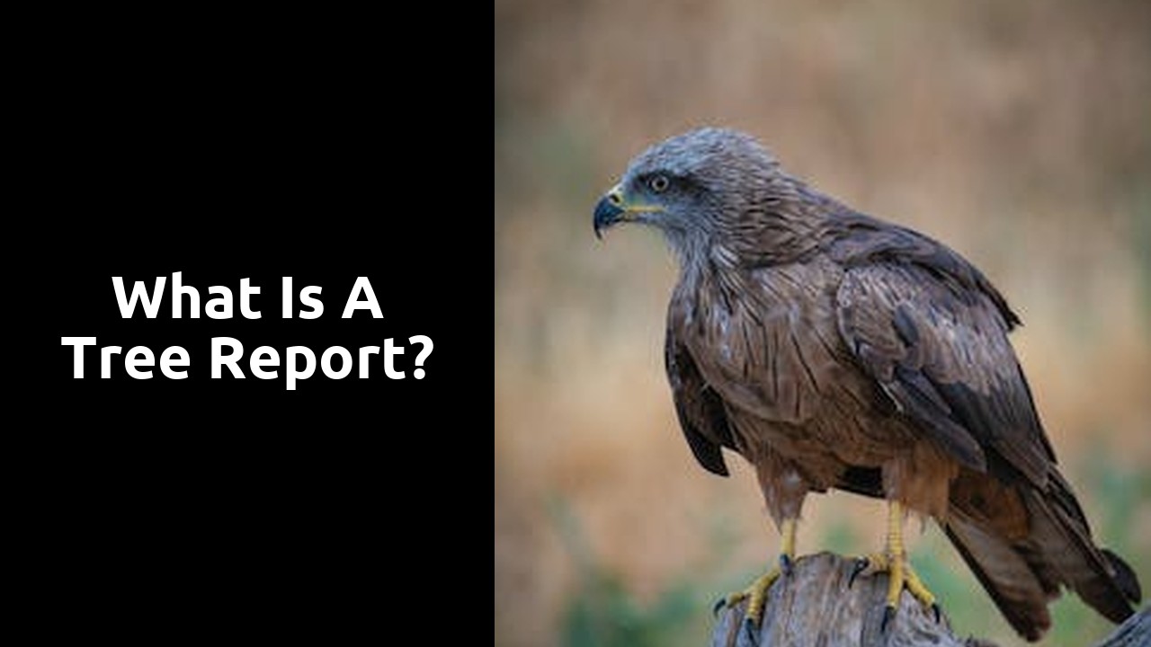 What is a tree report?