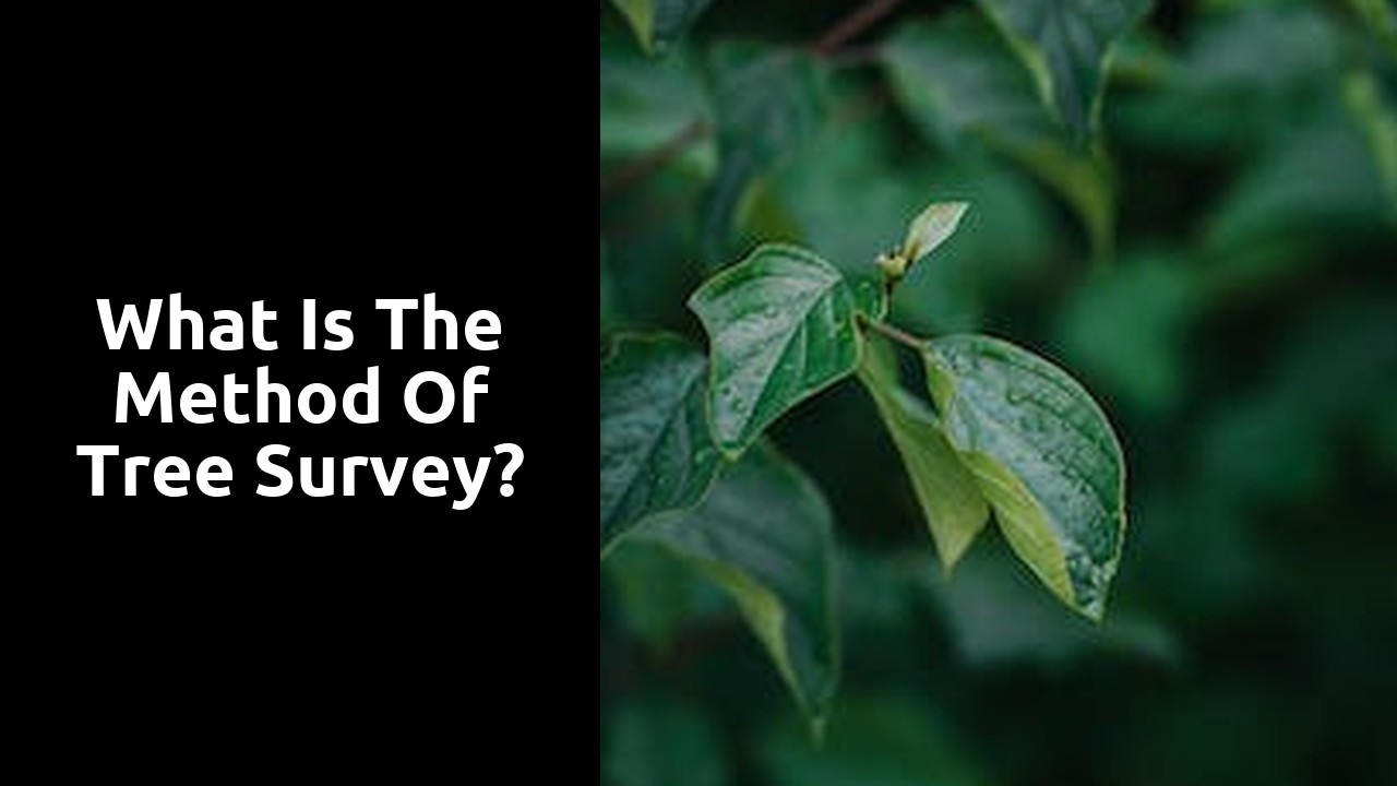 What is the method of tree survey?