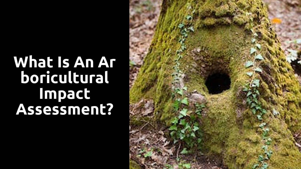 What is an arboricultural impact assessment?