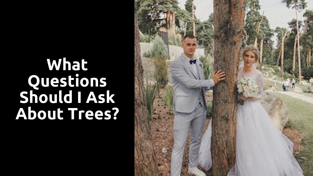 What questions should I ask about trees?