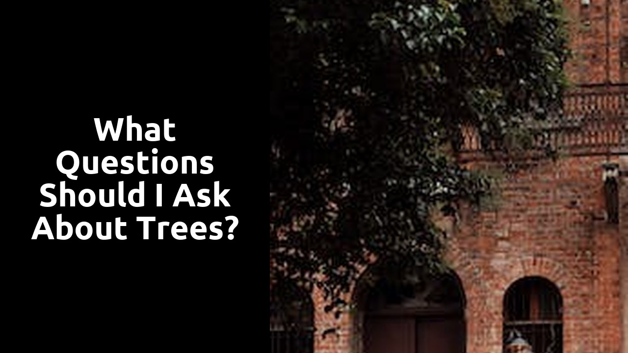 What questions should I ask about trees?