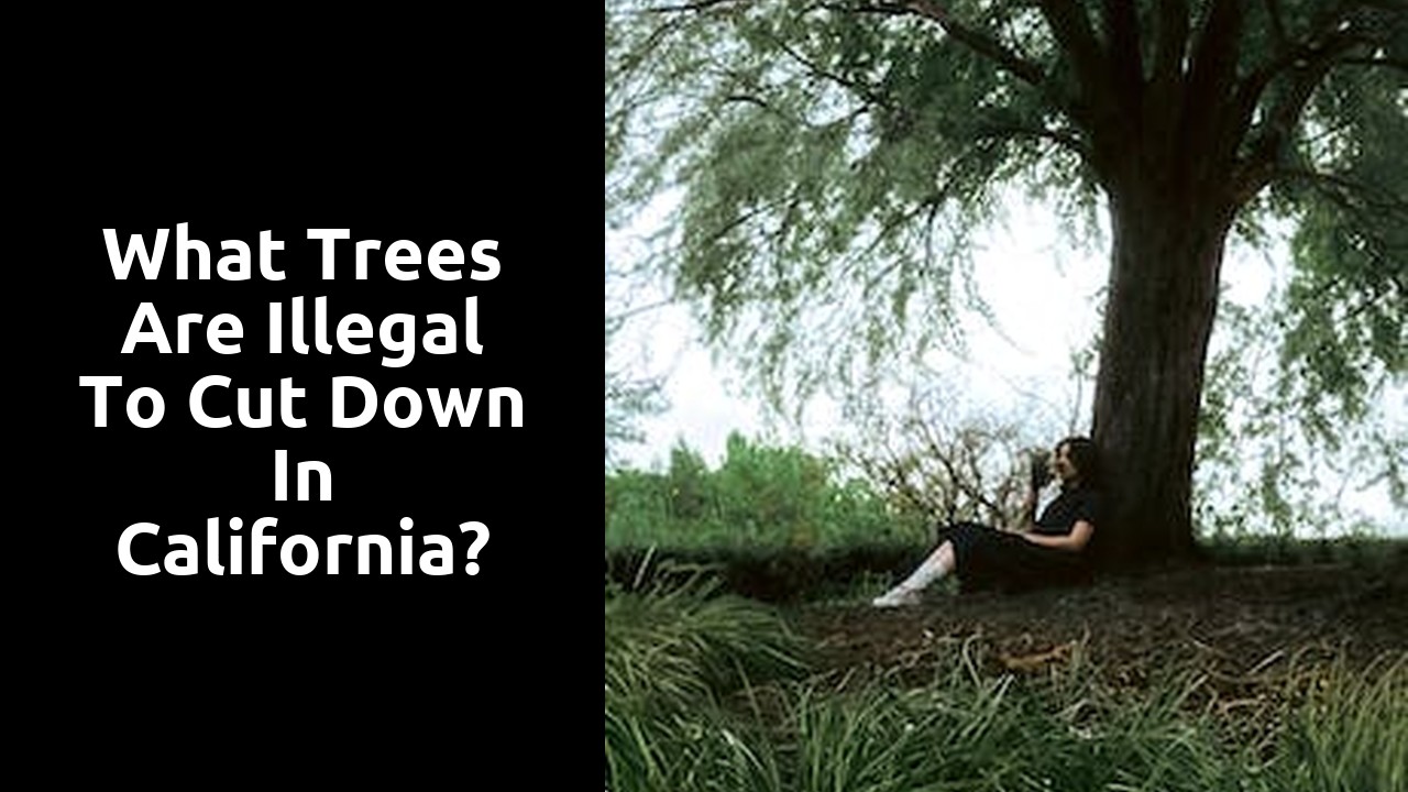 What trees are illegal to cut down in California?